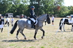 WJ6_8303