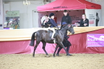 SBM_03347