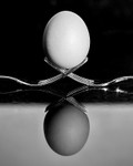 Eggstraordinary