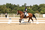 SBM_004980