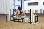 SBM_001911