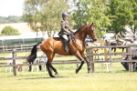 SBM_14861