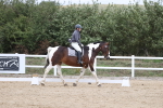 SBM_003009