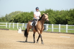 SBM_007847