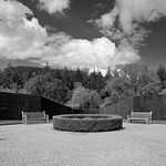 RHS Rosemoor