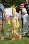 North Show 2017-12