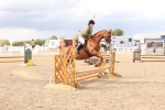SBM_07435