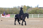 SBM_001050
