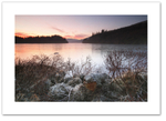 Frost ♦ LOCH ARD FOREST