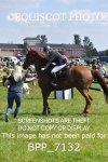 BPP_7132