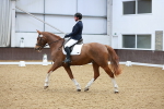 SBM_001337