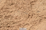 231028A-130706-01596