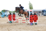 SBM_001768