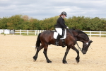 SBM_002256