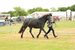 SBM_04276