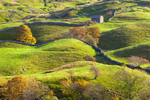 Yorkshire portfolio