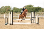 SBM_022955