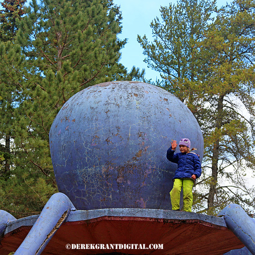 Kids today still find this park exotic/fascinating. Return to Animaland in Penobsquis, NB