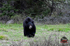 3HPhotography5-20-25_GTNP_410_