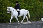 WJ5_8939