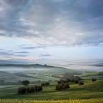 Landscape-065