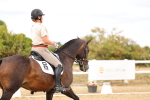 SBM_006644
