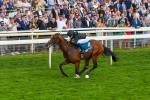 260823-Race 6-Inquisitively-0890