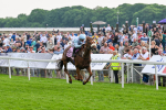 170524-Race 4-Giavellotto-8078
