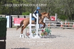BPP_1097