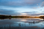 Culm valley, Devon