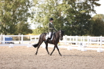 SBM_07992