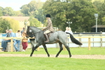 SBM_62619