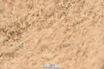 240331A-145820-01180