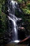 Berry Creek Falls, Big Basin State Park, Ca