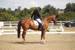 SBM_001443