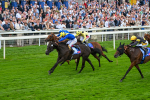 230825-Race 3-Never So Brave-0090