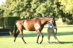 SBM_15770