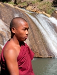 Novice Monk