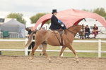 SBM_06315