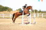 SBM_000602