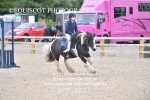 BPP_8824