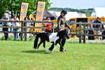 SBM_03539