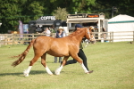 SBM_10446