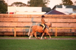 SBM_57105