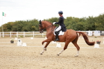 SBM_006842