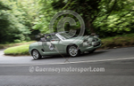 Heritage Charity Hillclimb_2014-282