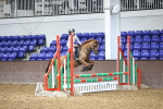 SBM_001652