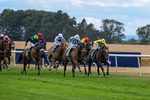 010826-Race 5-Asuka-3053