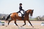 Cls 7 Premier League FEI Intermediate I portfolio