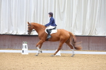 SBM_000599